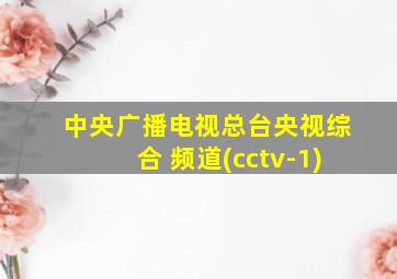 中央广播电视总台央视综合 频道(cctv-1)